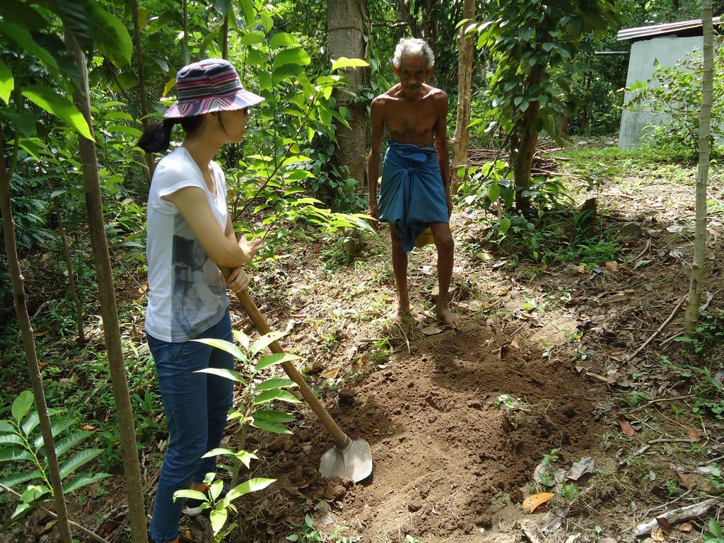 Lady Gordons Homestay Kandy Eksteriør billede