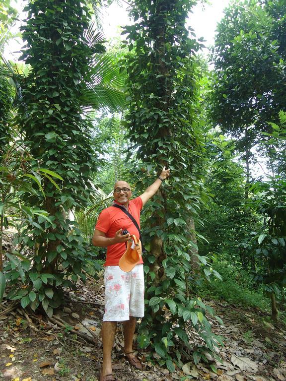 Lady Gordons Homestay Kandy Eksteriør billede